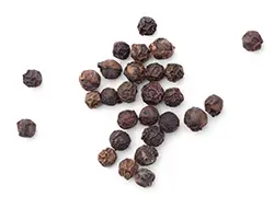 Black Pepper Extract Black pepper