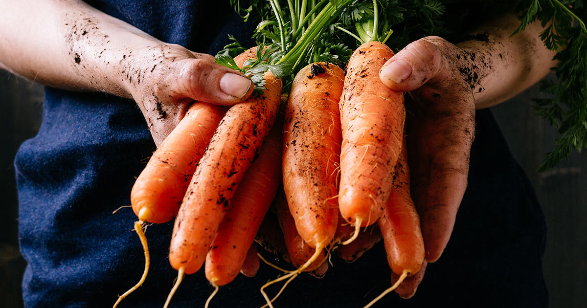 Dangers of Synthetic Beta Carotene Dangers of Synthetic Beta Carotene